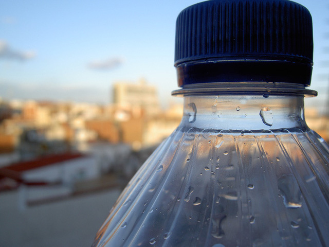 Vi khuẩn tìm thấy trên cổ chai nhựa sử dụng liên tục sau 1 tuần có khả năng gây bệnh cho người trưởng thành