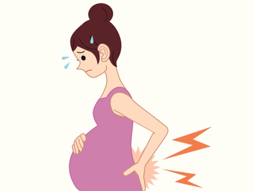 Đau lưng là triệu chứng dễ gặp, gây không ít những rắc rối cho các mẹ bầu trong suốt thai kỳ.